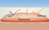 Suprasorb F Folienverband - Verschiedene Größen